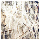 ANTI-GRAFFITI 4 MIL - ON SALE