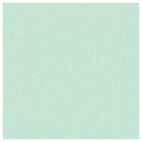 SPARKLING FROST MINT