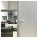 MATTE (FROST) SILVER